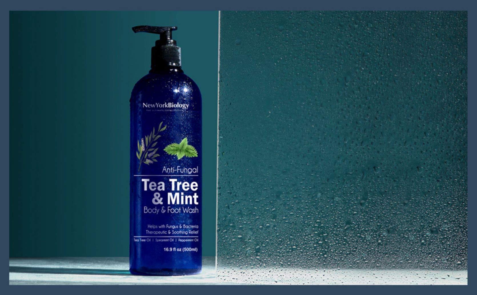 NEW YORK BIOLOGY THE ULTIMATE COSMECEUTICALS New York Biology Tea Tree Body Wash with Tea Tree Mint Body Wash for Men and Women - Helps Jock Itch & Itchy Skin, Nail Fungus, Athletes Foot, Eczema & Body Odor, Ringworms – 16 Fl Oz