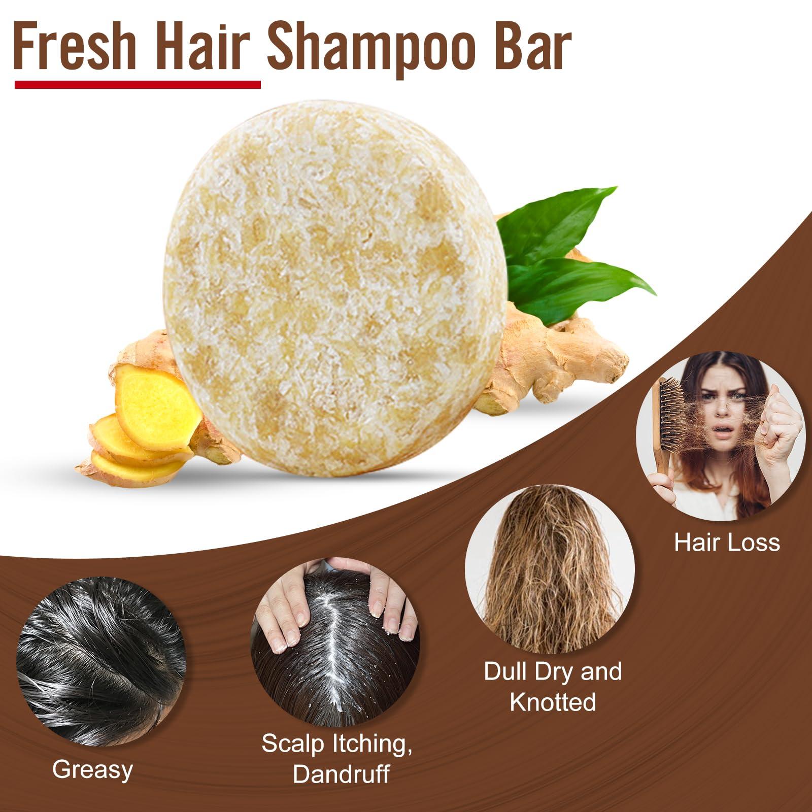 Hotiary Hotiary Ginger Hair Regrowth Shampoo Bar and Conditioner Set, Natural Organic Ginger Shampoo Soap Bar for Hair Growth Anti Hair Loss, PH Balance, 0 Silicone Oil