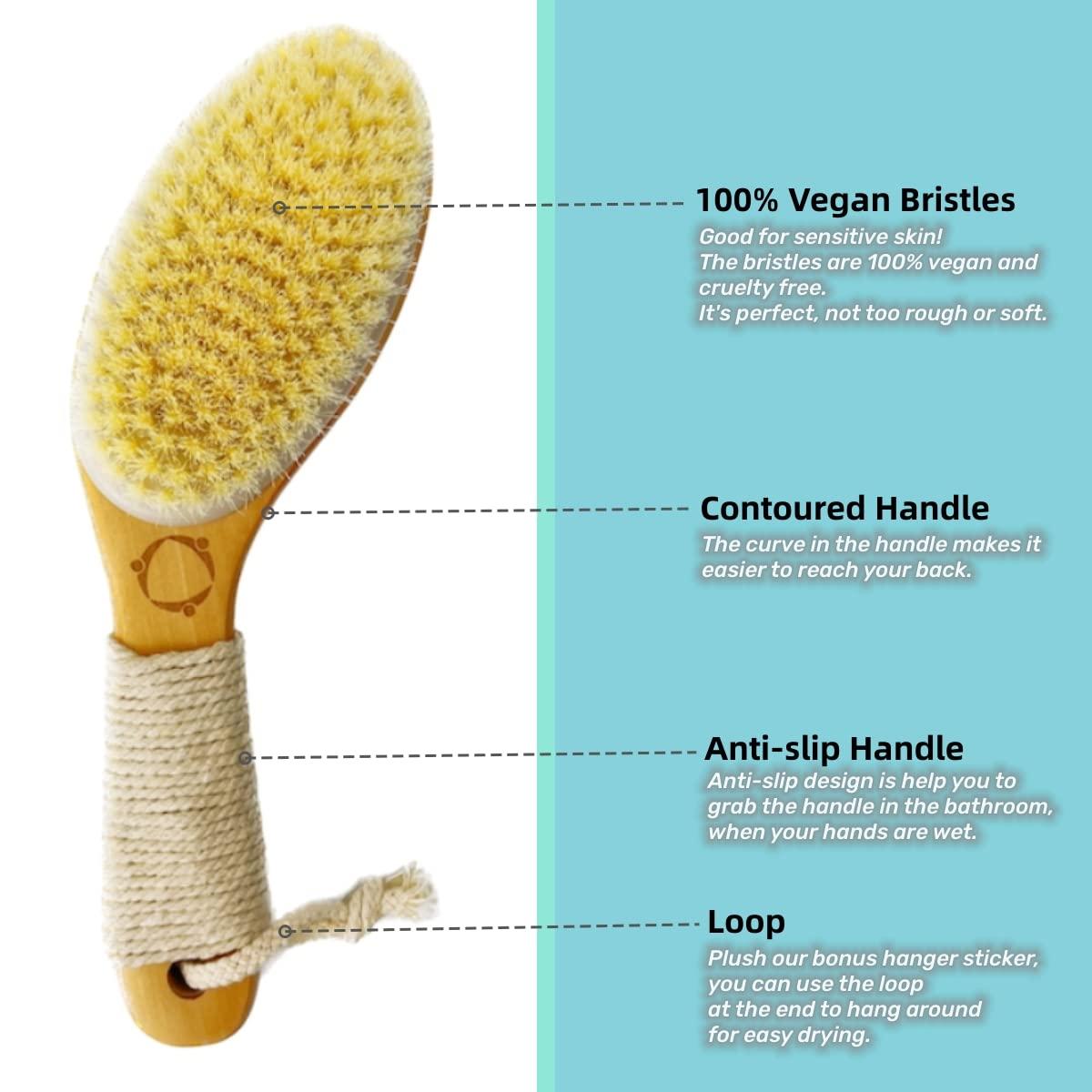 Reccsy Dry Brushing Body Brush for Lymphatic Drainage-Vegan Dry Brush with Contoured Non-Slip Handle +Wood Therapy Massage Tools. Maderoterapia Kit, Gua Sha, Anti-Cellulite, Body Sculpting, Sensitive Skin