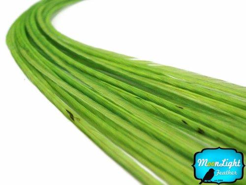 Moonlight Feather Moonlight Feather, Hair Extension Feathers - Solid Lime Color - 7-10 Inches Long, 10 Feathers