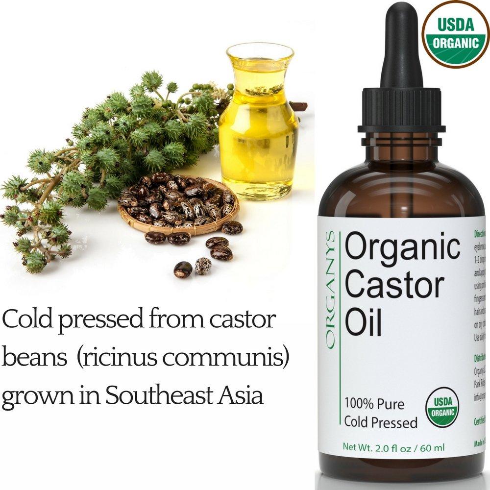 Organys Organys Organic Castor Oil 2oz, For Longer Fuller Thicker Looking Hair Eyelashes & Eyebrows Enhances The Appearance Of Natural Lash & Brow Growth. Serum Comes With Eyeliner & Mascara Brushes