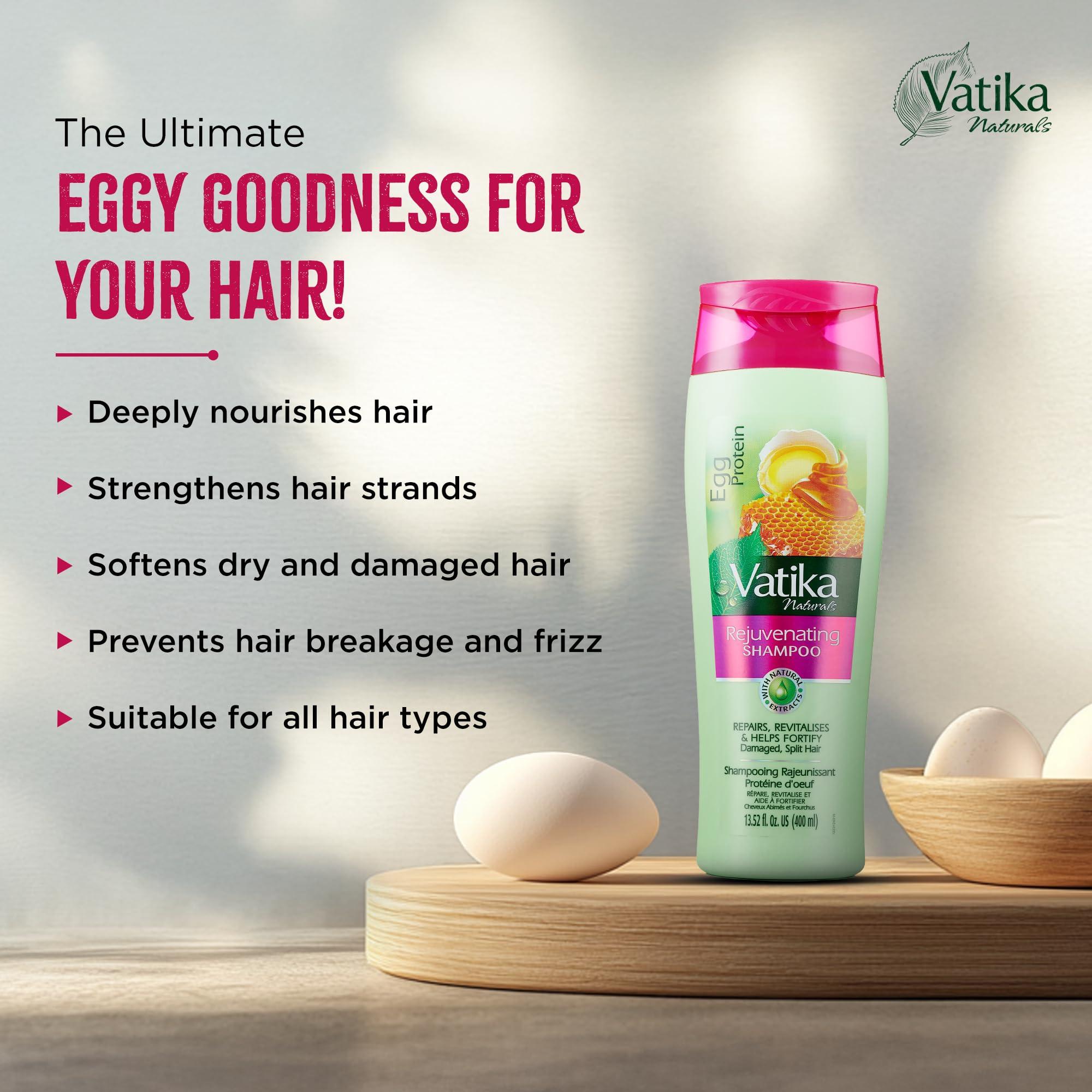 Vatika Naturals Dabur Vatika Naturals Shampoo and Conditioner Set (Egg Protein)