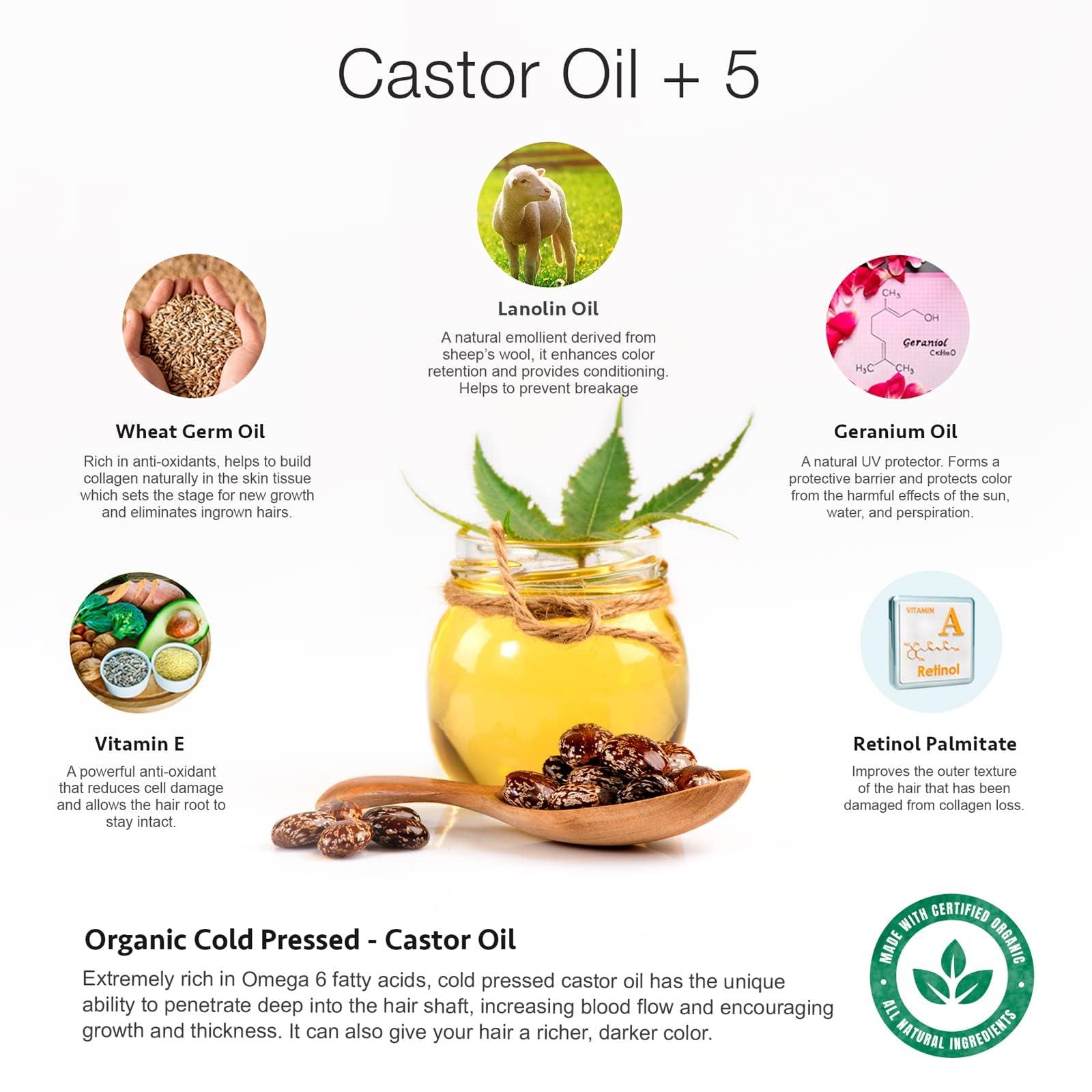 Godefroy Godefroy Color Keep For Lashes and Brows