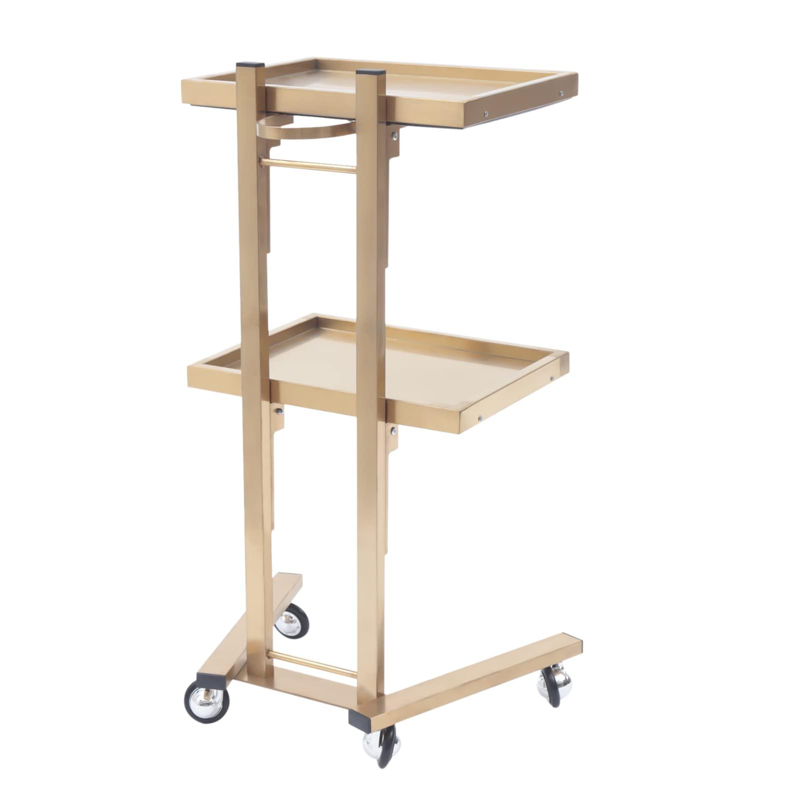 Pinelicorn 2 Tier Metal Rolling Cart, Stainless Steel Salon Tray with Wheels, Foldable Utility Carts, Folding Salon Tray Trolley, Rolling Tray Salon Trolley for Tattoo (Golden)