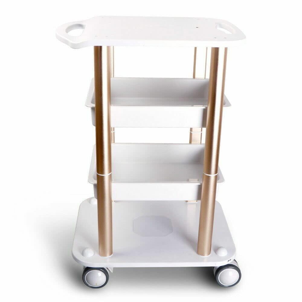 EurHomePlus Beauty Trolley Cart with Wheels, Salon Spa Rolling Trolley, Beauty Machine Trolley for Spa Beauty Salon, Load 150kg for Hair Salon, Spa Salon Storage Equipment Organizer Stand