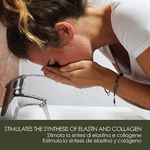 Burt's Bees Burt's Bees Goodness Glows Liquid Makeup, Porcelain - 1.0 Ounce