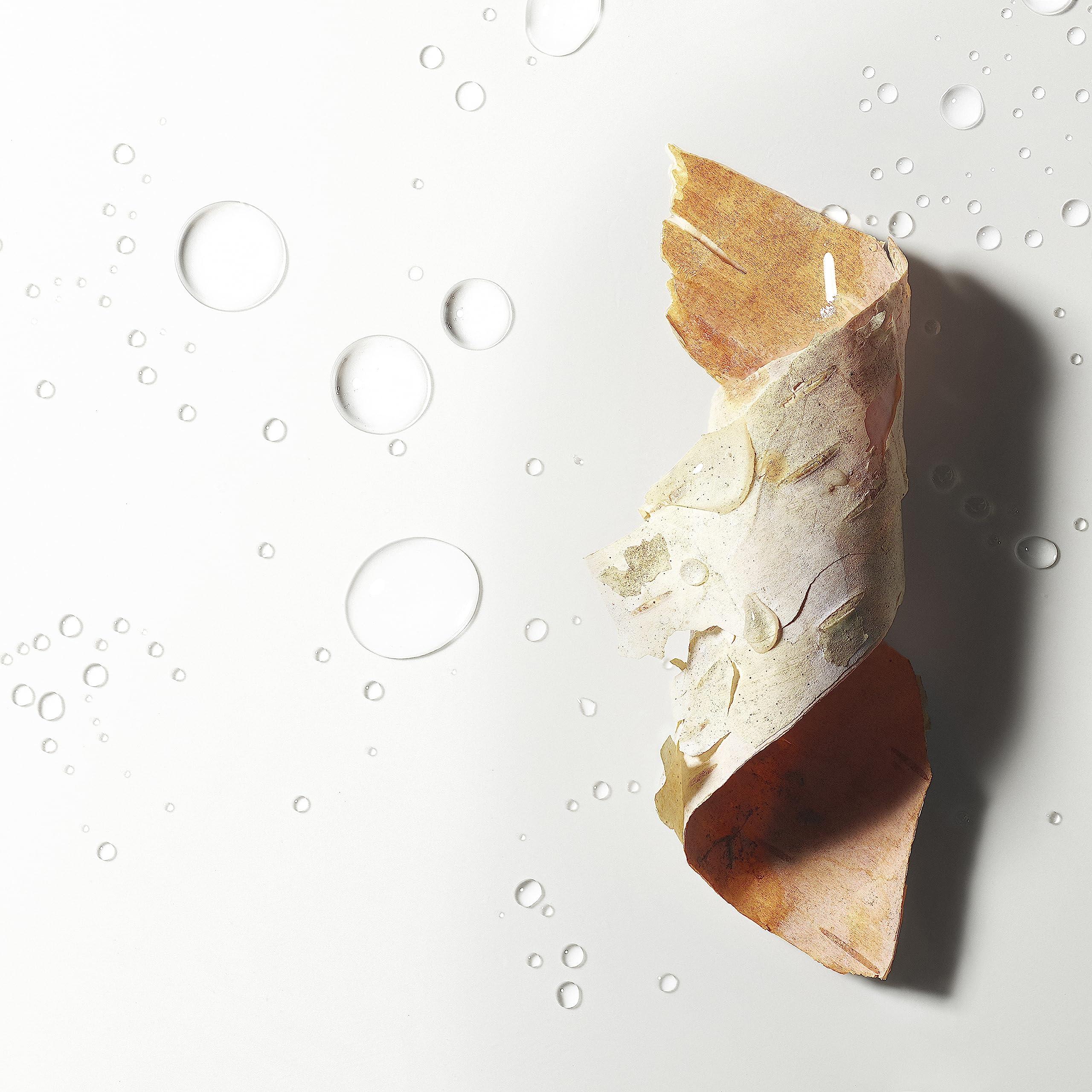 Olay Olay Gentle Foaming Face Wash with Birch Water, Fragrance-Free, 16 oz