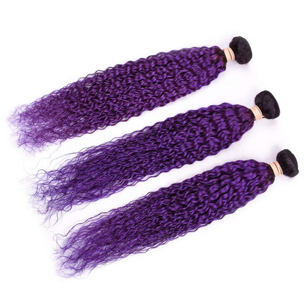 Tony beauty hair Tony Beauty Hair #1B/Purple Ombre Curly Human Hair Bundles Deals 3Pcs Lot Jerry Curly Ombre Purple Brazilian Human Hair Weave Extensions Dark Roots Double Wefts 10-30" Mixed Length (26 28 28)