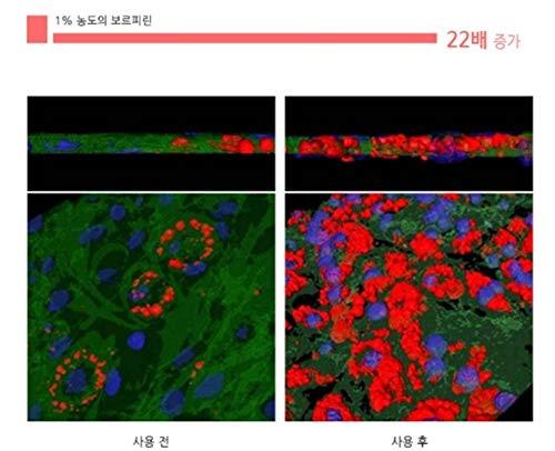 FRANCOISE FRANCOISE: 100% Volufiline Ampoule 10ml(0.3oz) France SEDERMA : For tightening FACE and body, Improve Skin Elasticity, Wrinkle Improvement.