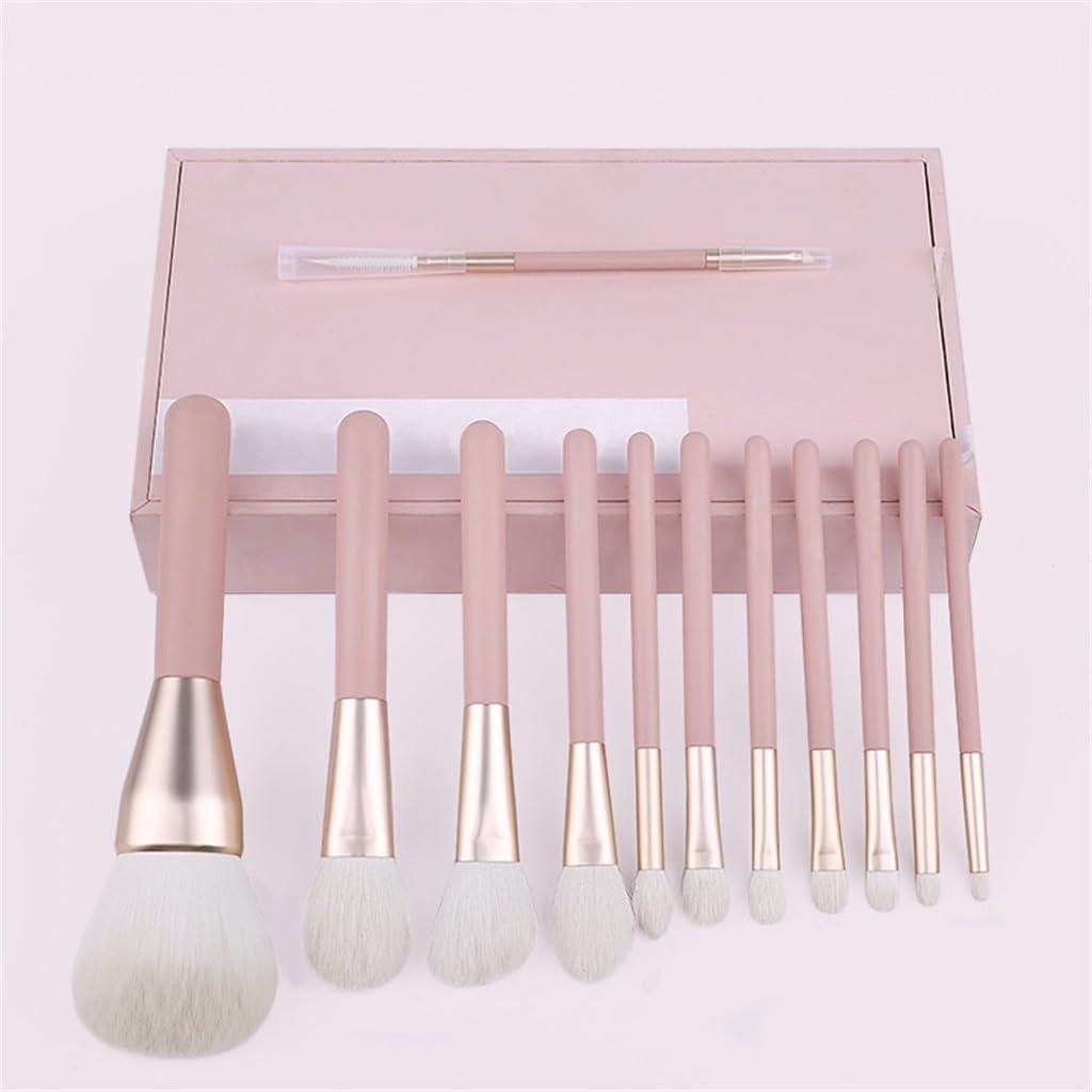 CGTENBS Smokey Peach 12pcs Makeup Set Brushes Blush Brushes Eyeshadow Brushes Portable Full Set Of Makeup Brushes