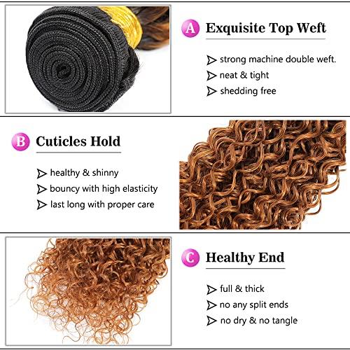 ALISFEEL Ombre Curly 3 Bundles Brazilian Curly Hair Wet and Wavy Human Hair Dark Brown Weave 3 Bundles Kinky Curly 1B/30 Black to Brown (16"18"20")