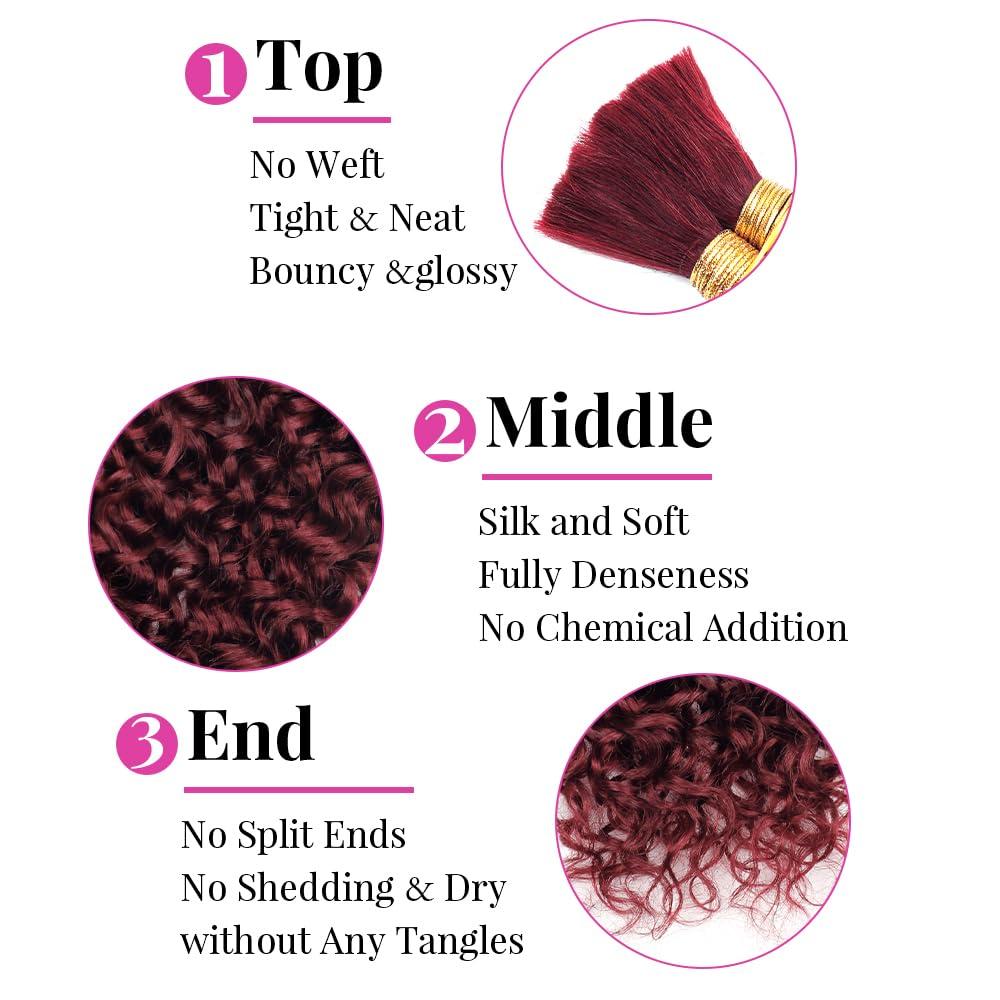 Ainmeys Water Wave Bulk Human Hair for Braiding #99j No Weft Curly Human Braiding Hair Wet and Wavy 100% Unprocessed Brazilian Virgin Human Hair for Boho Braids Wet and Wavy 2 Bundles/Pack (22inch 100g)