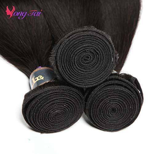 Alaffia Alaffia Whipped Shea Butter and Coconut Oil, for Smooth, Soft Skin, Unscented 4 Oz