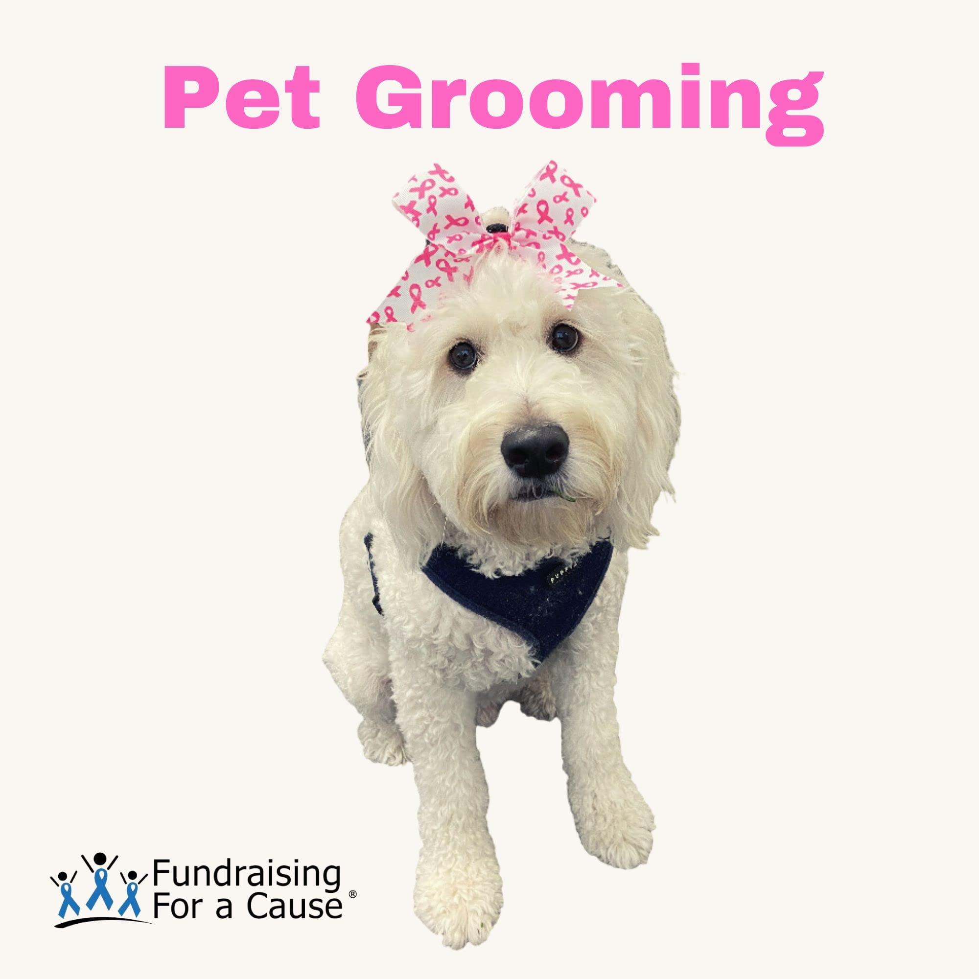 Fundraising For A Cause Pink Ribbon Hair Bows for Breast Cancer Awareness - Cheer Bows Ponytail Pink Hair Bows Pink Hair Ties for Girls, Cheerleader, Women Hair Elastic Bands, Pet Grooming - 25 Hair Bows