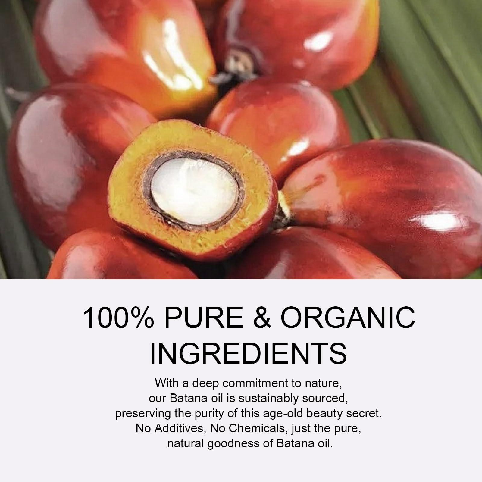 A r b c r n Raw Batana Oil for Hair Growth (4.2 OZ), 100% Pure Natural Unrefined - Prevent Hair Loss and Promotes thickness for Women & Men