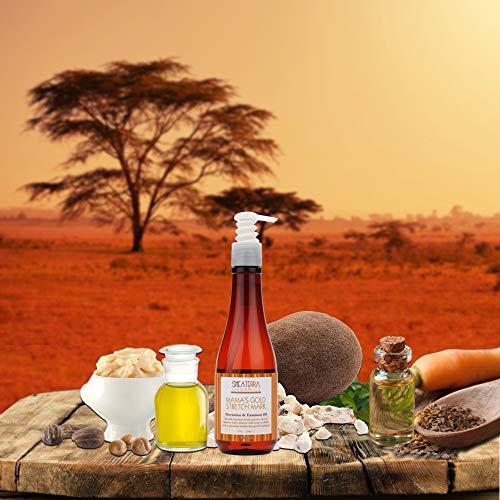 Shea Terra Organics Shea Terra Organics Mama and Baby Collection | Mamas Gold Stretch Mark Wonder Oil| Non Toxic All Natural Maternity & Postpartum Belly Oil for Stretch Marks Prevention & Cellular Skin Repair 8oz