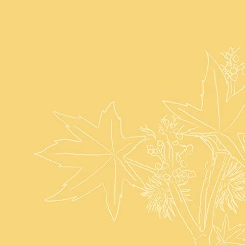 SheaMoisture SheaMoisture Styling Black Edge Control Gel For Curly Hair Jamaican Black Castor Oil and Flaxseed Paraben-Free Anti-Frizz Hair Gel 3.5 oz