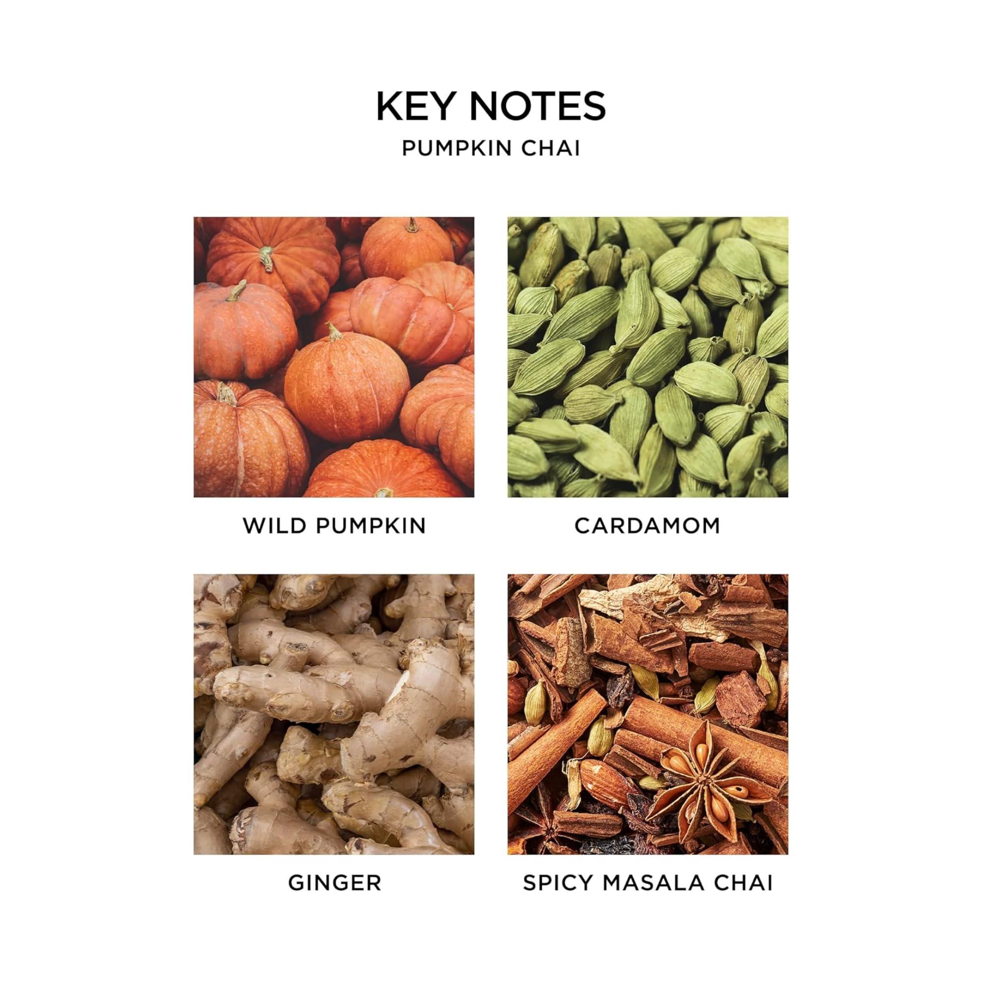 NEST New York NEST New York Liquid Soap, Pumpkin Chai - 10 fl oz - Cleanses & Nourishes Skin - Approx. 300 Pumps Per Bottle - Gluten Free & Cruelty Free