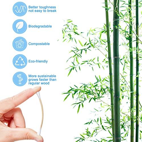 eyxformula 600 Pcs Long Cotton Swabs + 300 Pcs Bamboo Cotton Swabs