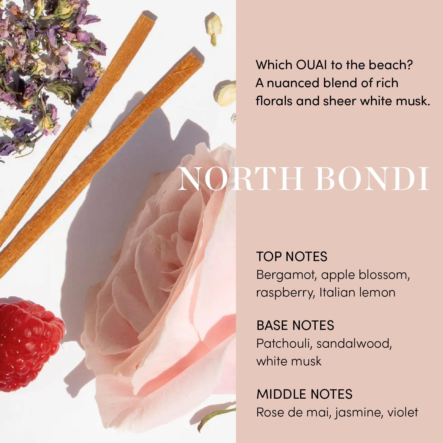 OUAI OUAI Detangle + Shine Bundle - Includes Leave-In Conditioner + Hair Gloss - Frizz Control + Hair Detangling Set (2 Count, 4.7 Oz/6 Oz)