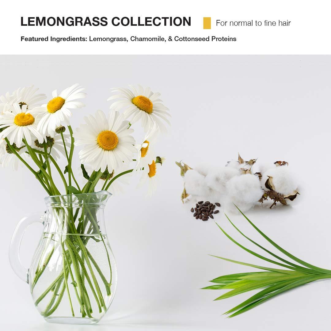 MOP MOP Lemongrass Volume Shampoo No Parabens No Sulfates, Lemon, 33.8 fl. oz.