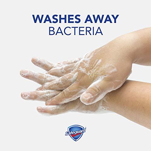 Safeguard Safeguard Liquid Hand Soap, Micellar Deep Cleansing, Fresh Clean Scent | Washes Away Bacteria - 25 Ounce Bottle (Pack of 1)