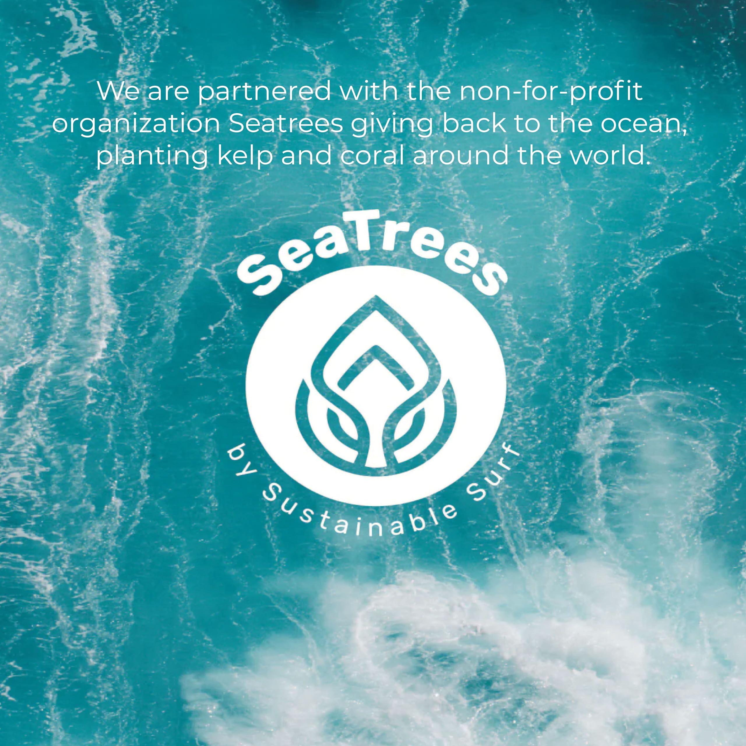 Sea-El Sea El Coconut Kiwi Exfoliating Face Scrub Hydrating Calming & Purifying Anti Aging Exfoliator - Bamboo Pumice & Green Tea Detoxifying Exfoliant Facial Cleanser & Polish for Women & Men - 4 Oz