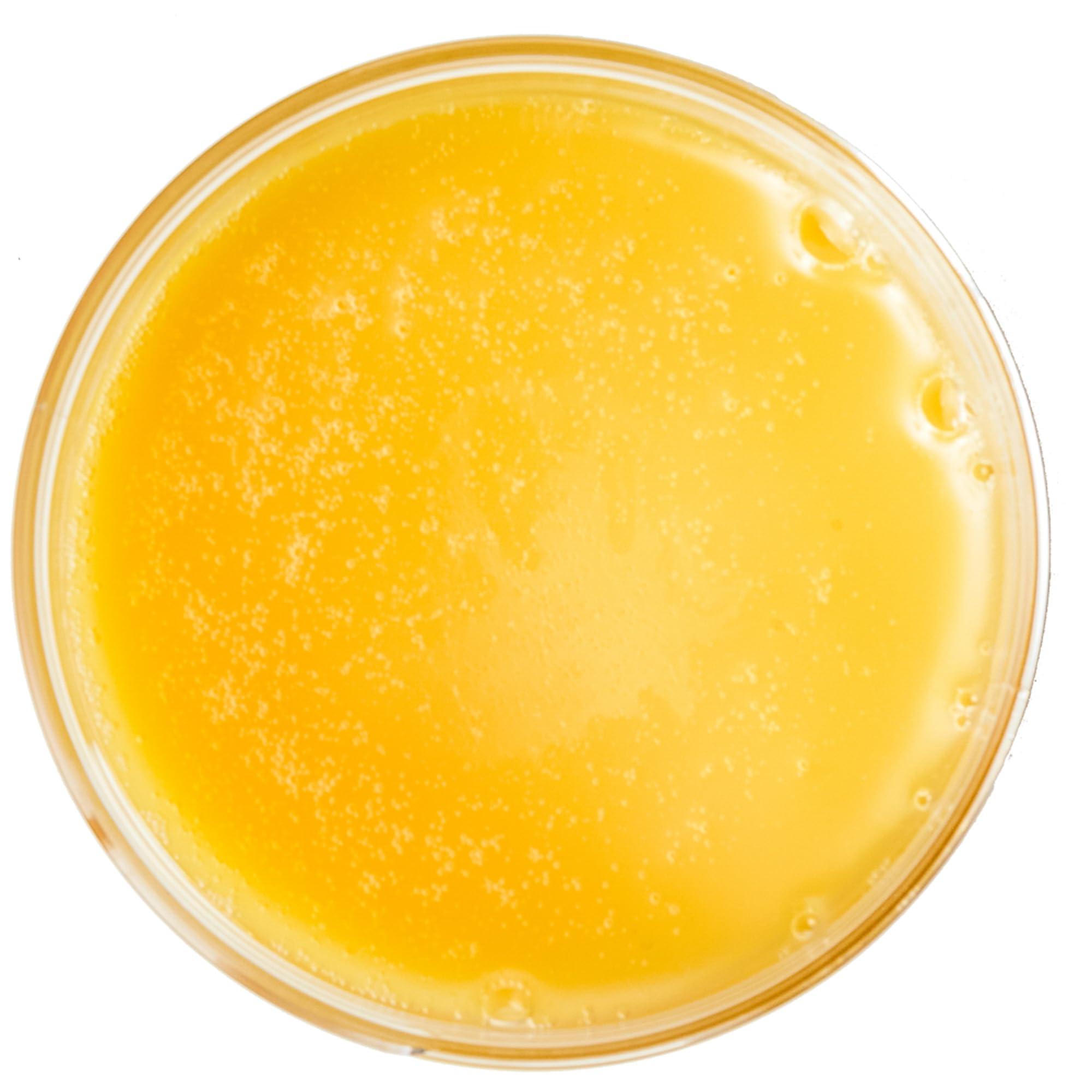 DMSOSTORE Lanolin 1 lb. Pure 100% USP grade. Skin protectorate and moisturizer that delivers deep hydration and nourishment, excellent as a nipple cream. Made by DMSO Store