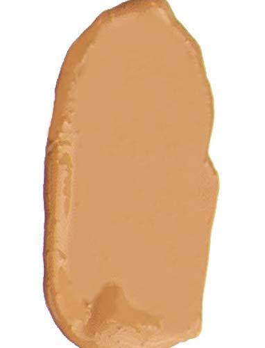 theBalm theBalm Anne T. Dotes Tinted Moisturizer, 26 (For Medium Skin), 1 Fl Oz