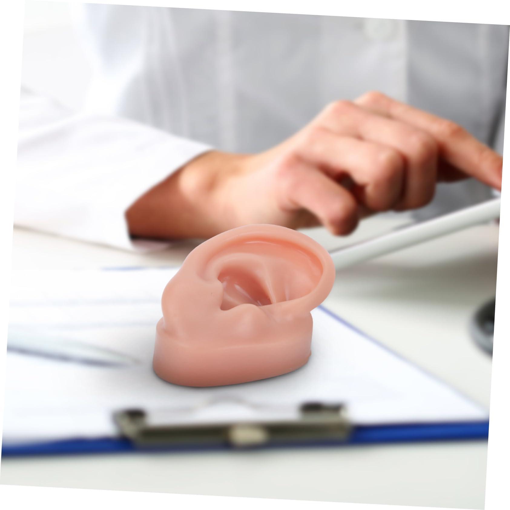 BIUDECO BIUDECO 1pc Human Ear Model Ear Picker Headphones Ear Defenders Ear Practice Model Reusable Earwax Symmetry Ear Cleaning Loop Lanyard Vibes Earphones Coffee