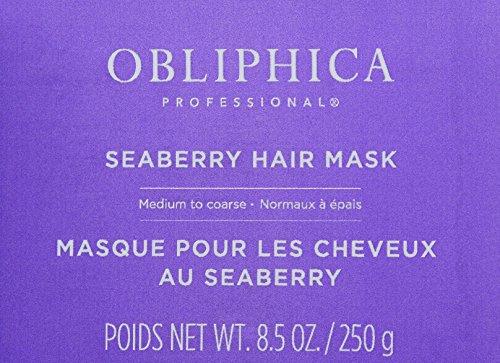 Obliphica Professional Obliphica Seaberry Hair Mask - Deep Conditioning Hydrating Treatment for Dry and Damaged Hair - Moisturizing Hair Repair and Growth Mask for Medium, Coarse, and Color-Treated Hair - 8.5 Ounces