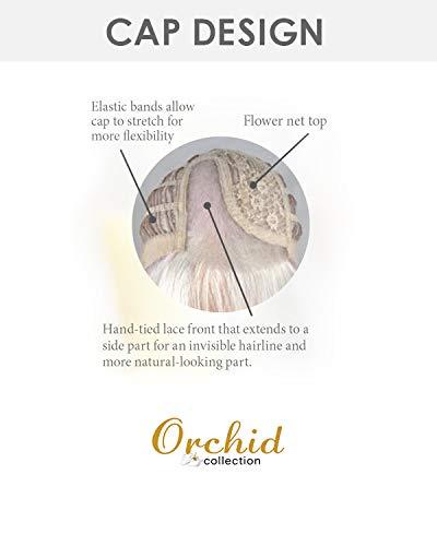 Rene of Paris Layla (Exclusive) Lace Front & Monofilament Part Synthetic Wig by Rene of Paris in Smoky Gray-R, Length: Long