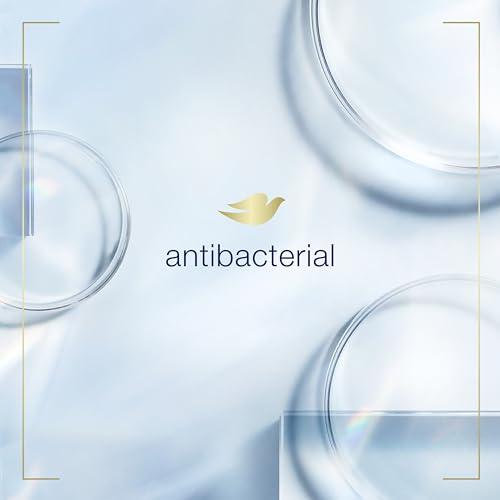 Dove Dove Care & Protect Antibacterial Hand Wash Protects Skin from Dryness, More Moisturizers Than The Leading Ordinary Hand Soap, 12 oz