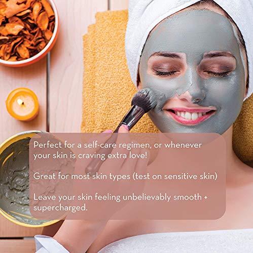 Pure Body Naturals Pure Body Naturals Dead Sea Mud Mask - Face Mask and Body Mud for Acne, Blackheads, and Oily Skin - Facial Self Care for Men and Women - Minimize Pores with Deadsea Mud, Clay, Charcoal - 8.8 Ounce