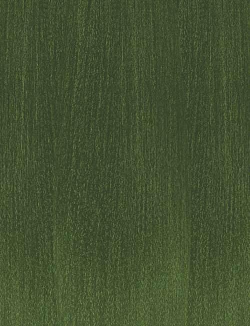 Garrelett 1200 PCS 6 Inches Long Cotton Swabs with Storage Case, Include 600 PCS Round & 600 PCS Pointed