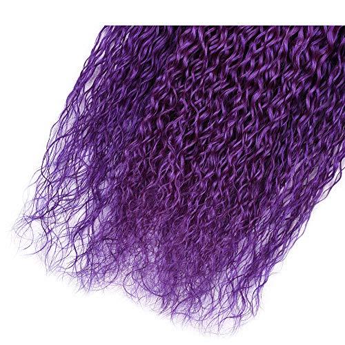 Tony beauty hair Tony Beauty Hair #1B/Purple Ombre Curly Human Hair Bundles Deals 3Pcs Lot Jerry Curly Ombre Purple Brazilian Human Hair Weave Extensions Dark Roots Double Wefts 10-30" Mixed Length (26 28 28)