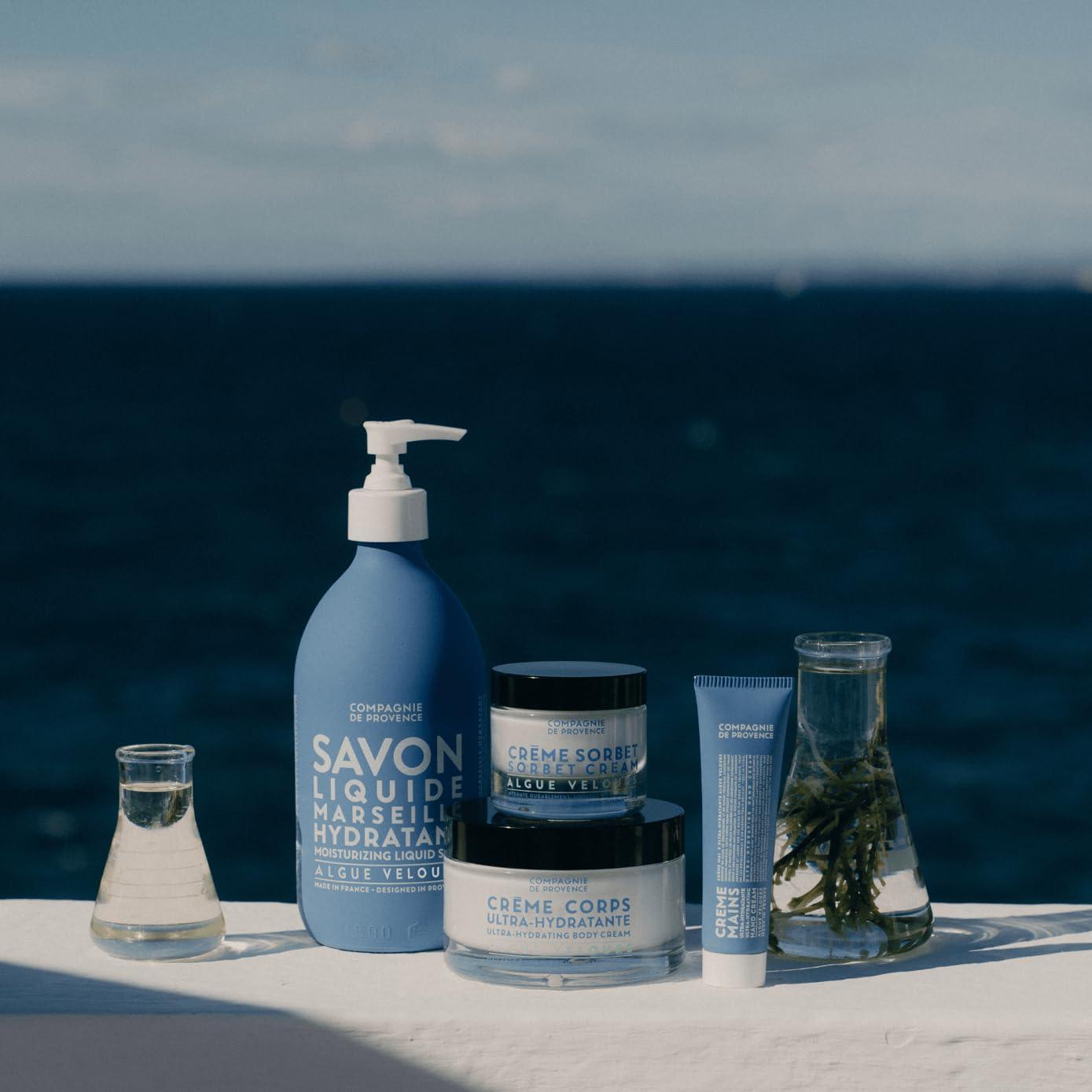 La Compagnie de Provence Compagnie de Provence Savon de Marseille Extra Pure Liquid Soap - Velvet Seaweed - 16.7 Fl Oz Glass Pump Bottle