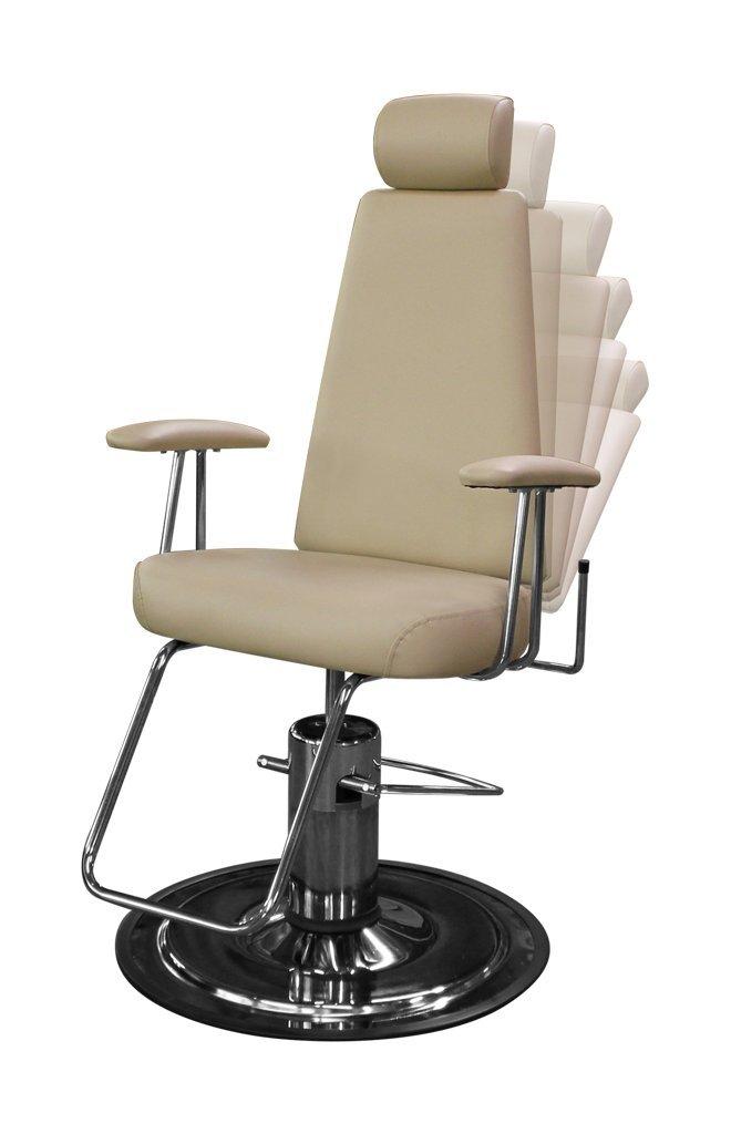 Galaxy Salon \"Highback\"? All Purpose Chair