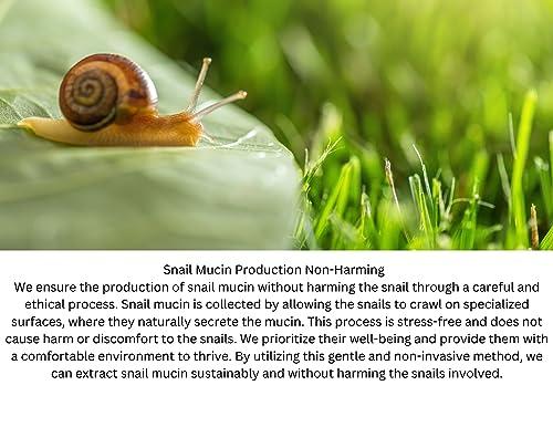 ZAIN1.618 Natural Hair growth Shampoo With Snail Mucin, Rosemary, Biotin, Niacinamide, Castor oil and Caffeine.(Mimosa, 8.45 oz) pH Level 5.2