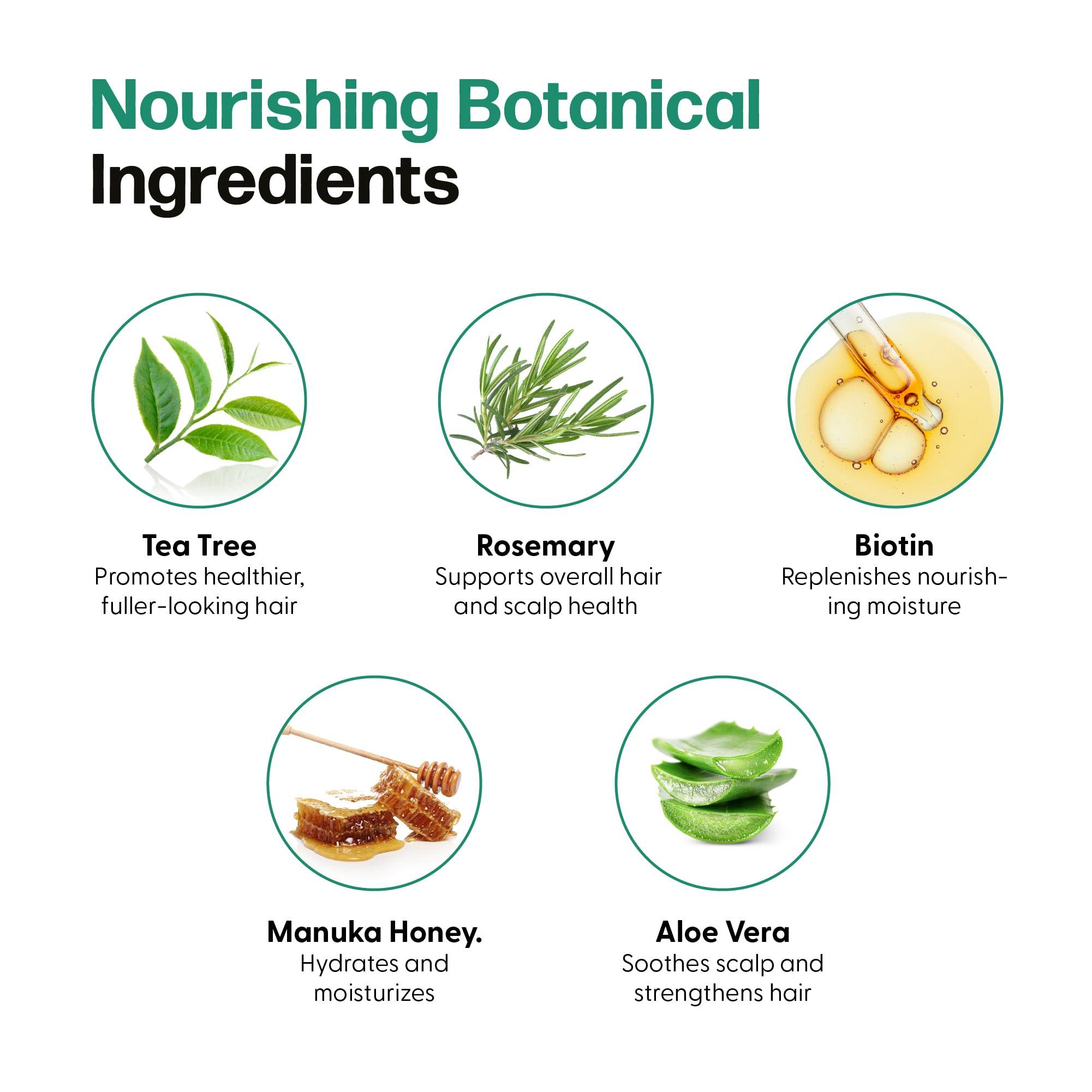 Cariposa Beauty Cariposa Beauty Tea Tree Shampoo and Conditioner Set - Paraben & Sulfate Free Dandruff Shampoo for Women & Anti Dandruff Conditioner for Flake Free Hair & Scalp - Promotes Hair Growth & Healthy Scalp