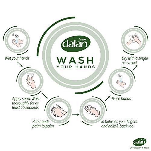 Dalan Dalan Avocado Butter Cream Ultra Moisturizing Liquid Hand Soap for Dry and Fresh Hands Feeling Clean and Soft (13.5 Fl Oz / 400 mL (Pack of 6))