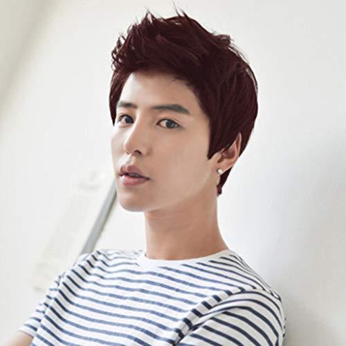 FeiFei66 FeiFei66 Fashion High Temperature Fiber Short Wigs for Men Wig Man Male Brown Black Handsome Cool Wig 4.7 inches / 12cm (A)