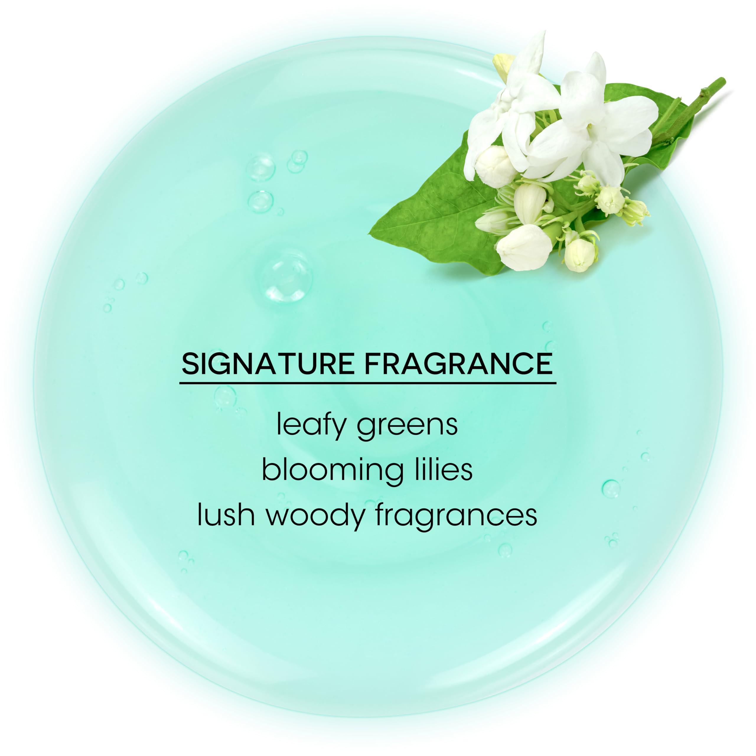 Bain de Terre Bain de Terre Balancing Shampoo and Conditioner Set & Shine Serum | Green Meadow | Restores Optimal Balance for Normal, Oily Hair | Paraben Free | Color-Safe | 13.5 Fl Oz