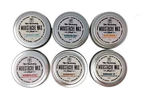 Mini Moustachery Mini Moustachery Deluxe Beard Kit - Dadgumit