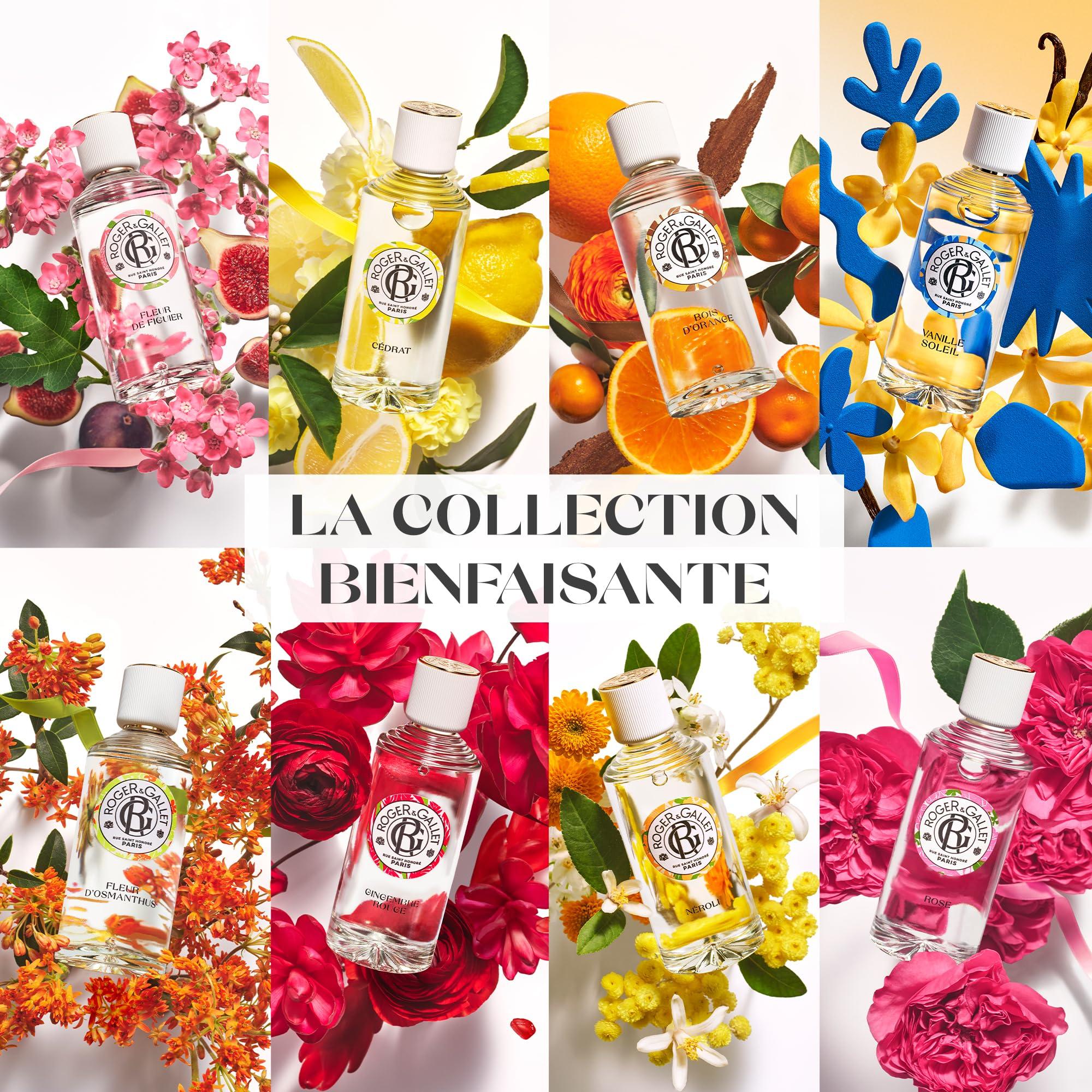 ROGER & GALLET ROGER & GALLET | Body Wash & Body Soap for Women | Bois De Santal - Sandalwood 3.5 oz