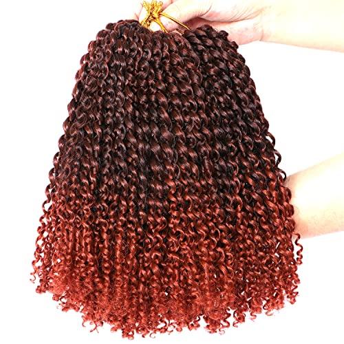 Lifabeauty 10 Inch Marlybob Crochet Hair 8 Small Packs/lot Crochet Braids Jerry Curly Hair Extensions Ombre Synthetic Braiding Hair (8Bundles10 Inch, 1B/350#)