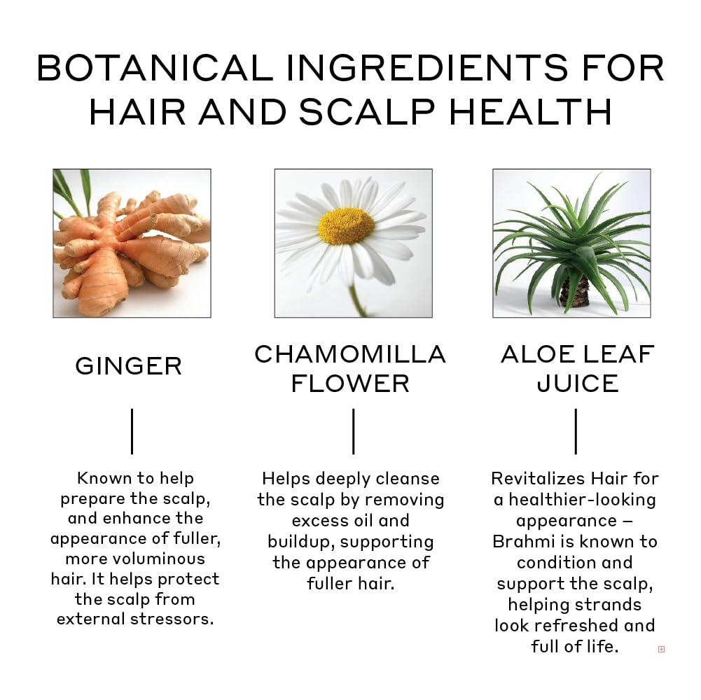 Zenagen Zenagen Revolve Thickening Conditioner for Hair Loss and Fine Hair, 16 fl. oz.