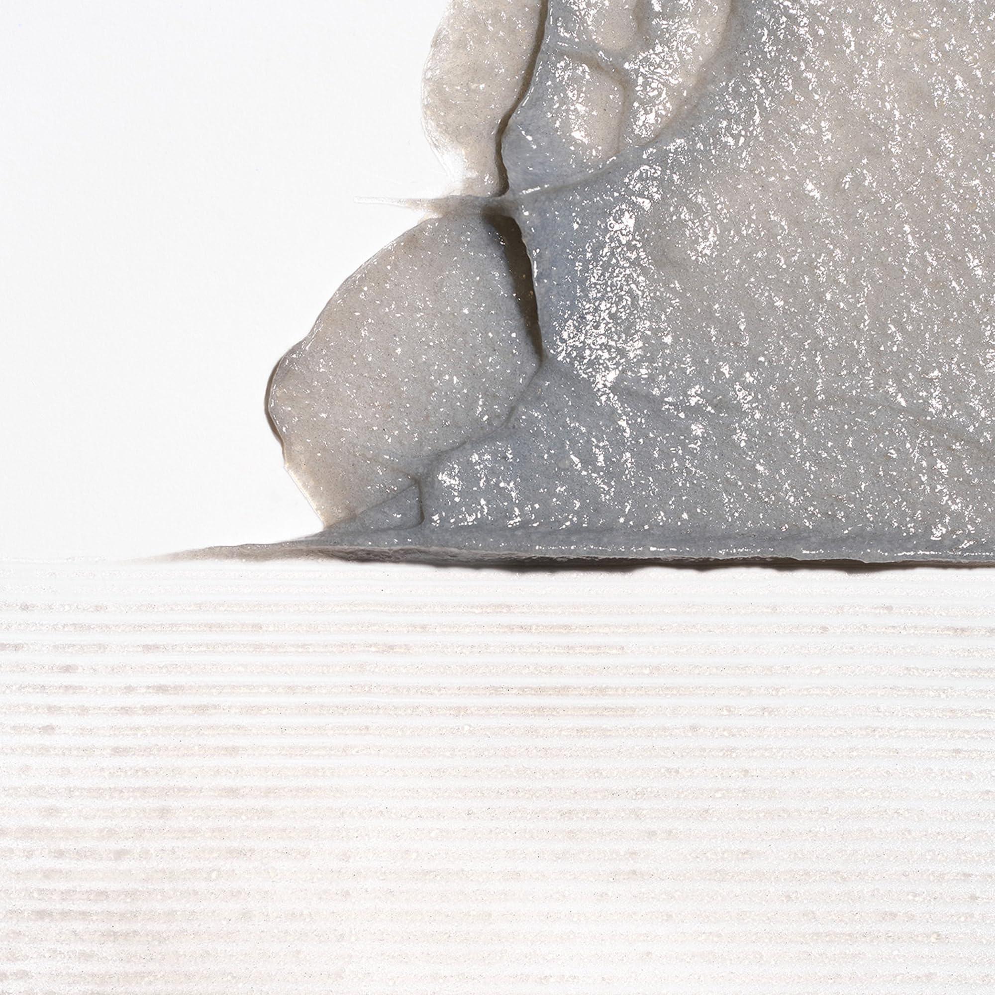 Briogeo Briogeo Scalp Revival Charcoal + Coconut Oil Micro-Exfoliating Shampoo, Treatment for Dry & Itchy Scalp, Clarifying Shampoo for Build Up, Scalp Scrub for Oily Scalp, Vegan, Cruelty-Free, 8 fl oz