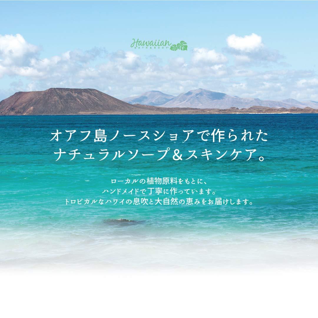 Hawaiian Bath & Body HAWAIIAN BATH & BODY Plumeria Bar Soap, 3.25 OZ