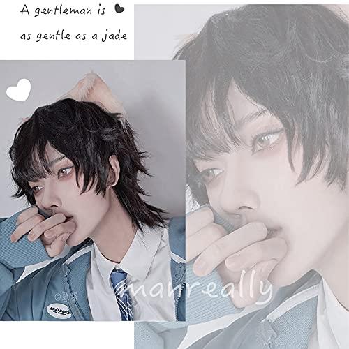 Lmaray 12.6 Inch Natural Black Wig Japanese Style Harajuku Male Short Wigs Boys Curly Hair Fluffy Wig Cosplay Wigs Brother Handsome Guy Wig, Heat Resistant Synthetic Fiber, Wig Cap Included, No Headwears